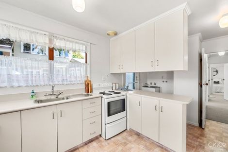 Photo of property in 19 Bloomfield Terrace, Hutt Central, Lower Hutt, 5010