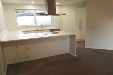 Photo of property in 5 Ketton Place, St Albans, Christchurch, 8052