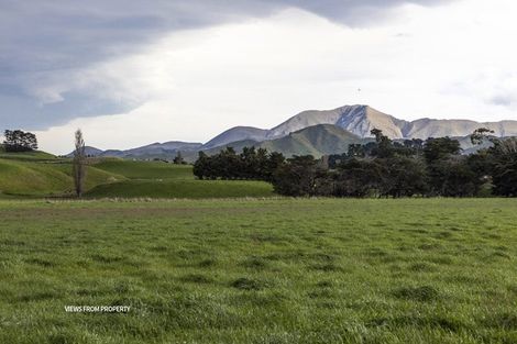 Photo of property in 18 Clermont Street, Ward, Seddon, 7285