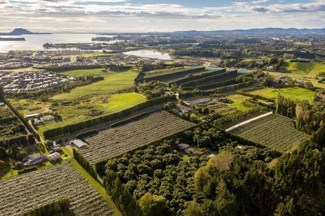 Photo of property in 39 Prole Road, Omokoroa, Tauranga, 3172