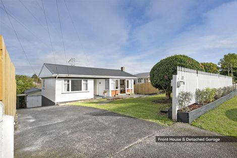 Photo of property in 44 Ellis Avenue, Mount Roskill, Auckland, 1041