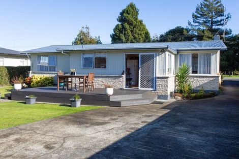Photo of property in 38 Ruahine Street, Dannevirke, 4930