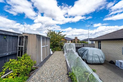 Photo of property in 10 Carmello Grove, Richmond, 7020