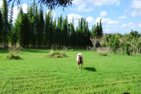 Photo of property in 365 Pungaere Road, Waipapa, Kerikeri, 0295