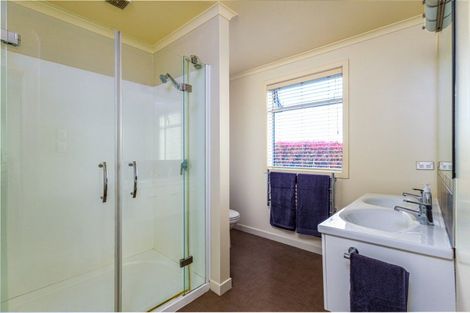 Photo of property in 238 Pages Road, Gleniti, Timaru, 7910