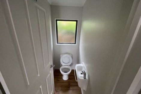 Photo of property in 110a Victoria Street West, Pukekohe, 2120