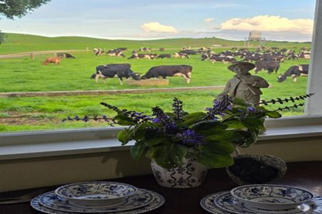 Photo of property in 880 Okahukura Road, Tapora, Wellsford, 0977