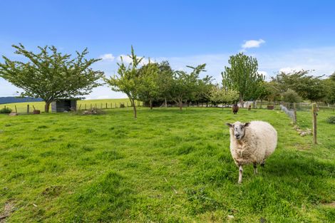 Photo of property in 954 Whirinaki Valley Road, Ngakuru, Rotorua, 3077