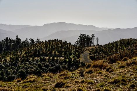 Photo of property in 850a Paekakariki Hill Road, Paekakariki Hill, Porirua, 5381