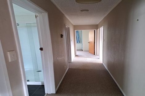 Photo of property in 33 Baldwin Street, North East Valley, Dunedin, 9010