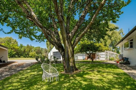 Photo of property in 43 Holdaway Street, Riversdale, Blenheim, 7201