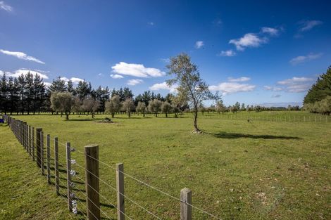Photo of property in 158 Caldwell Road, Ongaonga, 4279
