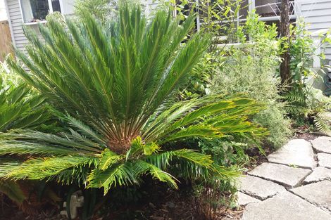 Photo of property in 14 Kirk Street, Whakatane, 3120