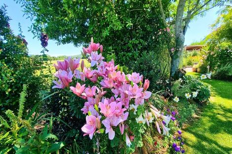 Photo of property in 246 East Takaka Road, East Takaka, Takaka, 7183