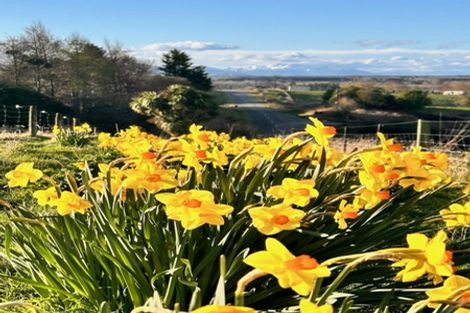 Photo of property in 33 Kalaugher Road, Geraldine Downs, Geraldine, 7991