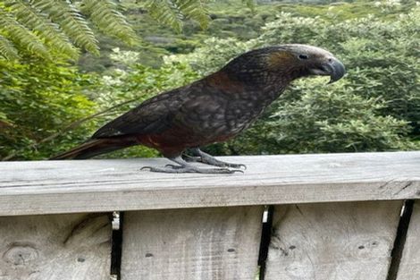 Photo of property in 46 Mount Pleasant Road, Aro Valley, Wellington, 6012