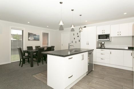 Photo of property in 55a Princes Street, Netherby, Ashburton, 7700