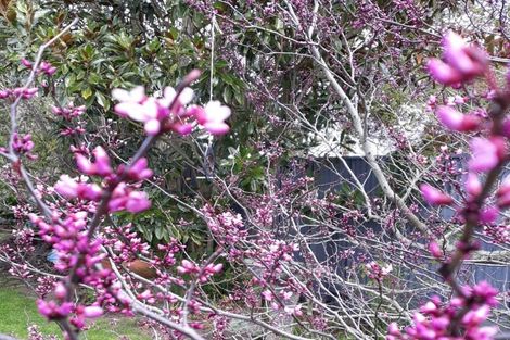 Photo of property in 21 Signal Street, Marton, 4710