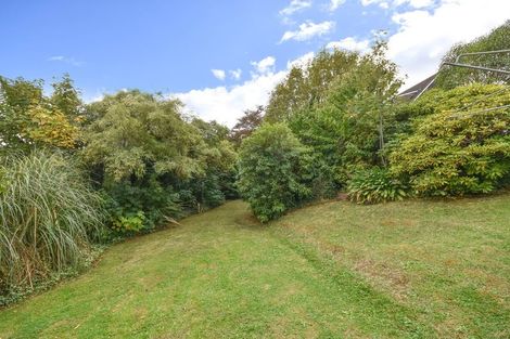 Photo of property in 33 Elliffe Place, Shiel Hill, Dunedin, 9013