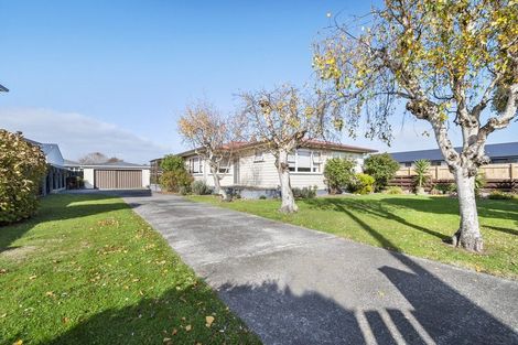 Photo of property in 448 Tremaine Avenue, Takaro, Palmerston North, 4410