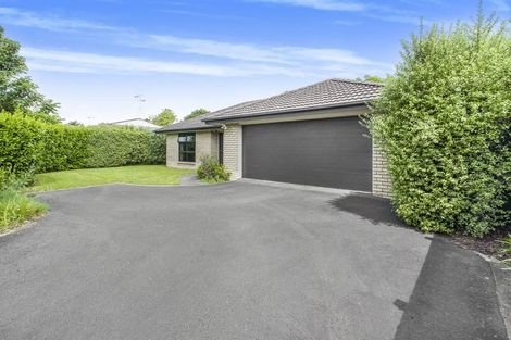 Photo of property in 20a Bains Avenue, Hamilton East, Hamilton, 3216