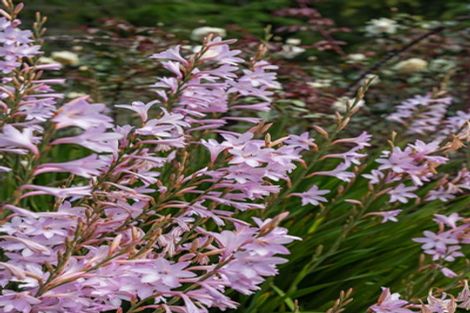 Photo of property in 1849 Manawahe Road, Manawahe, Whakatane, 3194