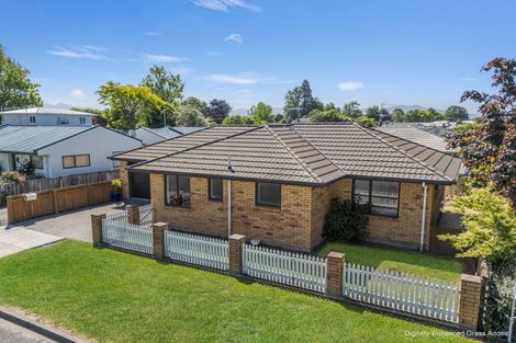 Photo of property in 33 Litchfield Street, Redwoodtown, Blenheim, 7201