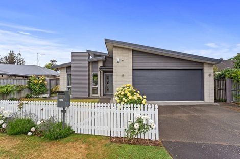 Photo of property in 28 Bank Street, Amberley, 7410