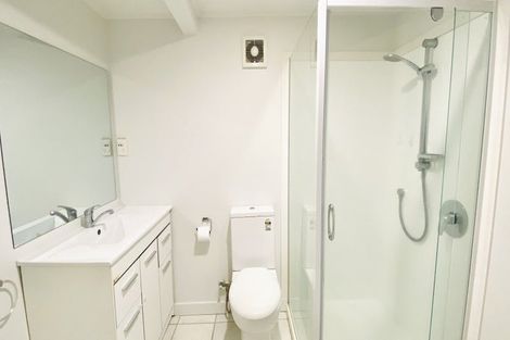 Photo of property in 26 Buchanan Street, Kingsland, Auckland, 1021