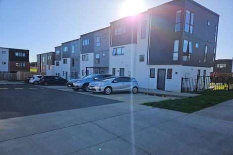 Photo of property in 17 Treeline Lane, Flat Bush, Auckland, 2019