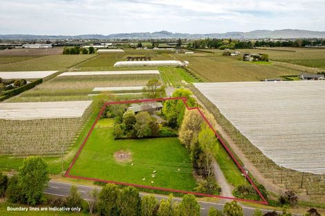 Photo of property in 210 Raupare Road, Twyford, Hastings, 4175