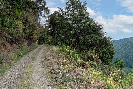 Photo of property in 266 Wairoa Gorge Road, Wairoa Valley, Brightwater, 7091