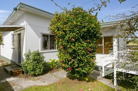 Photo of property in 15 Waitahanui Avenue, Taupo, 3330