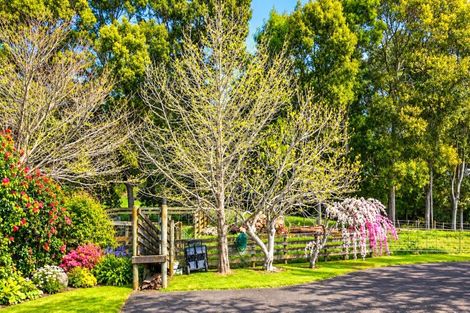 Photo of property in 17 Orchard Road, Te Kauwhata, 3782