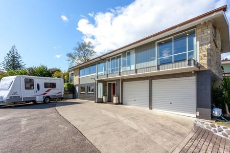 Photo of property in 111 Brunton Crescent, Thames, 3500