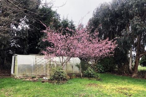 Photo of property in 208 Coggins Road, New River Ferry, Invercargill, 9879