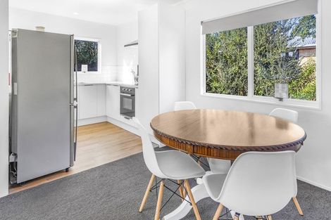 Photo of property in 111a Maeroa Road, Maeroa, Hamilton, 3200