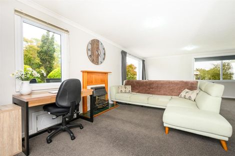 Photo of property in 3 Flower Street, Bulls, 4818