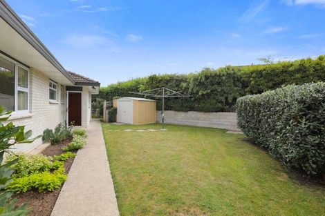 Photo of property in 87 Arrowsmith Avenue, Waipahihi, Taupo, 3330