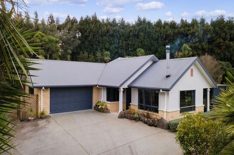 Photo of property in 24 Tuapiro Road, Tahawai, Katikati, 3170