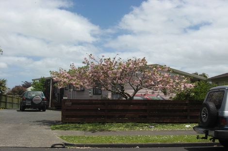 Photo of property in 169 Finlayson Avenue, Clendon Park, Auckland, 2103