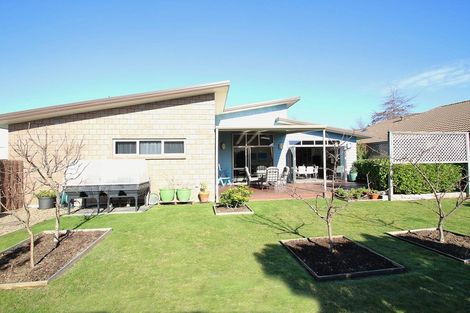 Photo of property in 151 Carmichael Road, Bethlehem, Tauranga, 3110