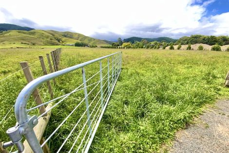 Photo of property in 161 Gladstone Road, Levin, 5571