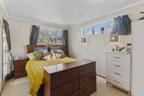 Photo of property in 9 Montgomery Street, Levin, 5510