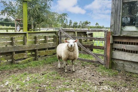 Photo of property in 270 Stokes Road, Balcairn, Amberley, 7481