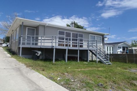 Photo of property in 51 Webster Avenue, Mount Roskill, Auckland, 1041