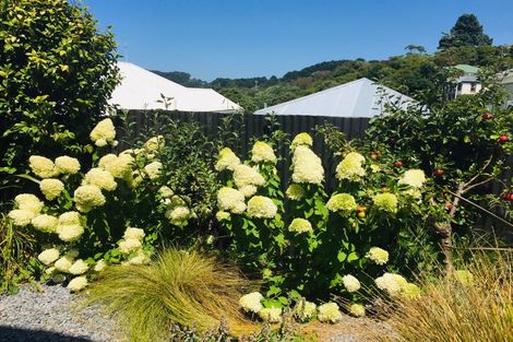 Photo of property in 31 Konini Road, Hataitai, Wellington, 6021