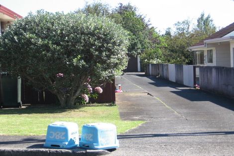 Photo of property in 28 Allenby Road, Panmure, Auckland, 1072