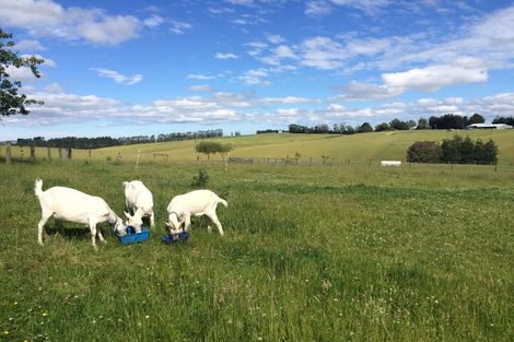 Photo of property in 86 Totara Island Road, Clifton, Balclutha, 9273