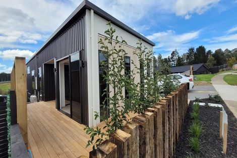 Photo of property in 191 Te Ranga Memorial Drive, Pyes Pa, Tauranga, 3112